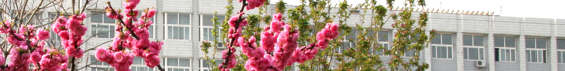 威廉希尔中文网站平台