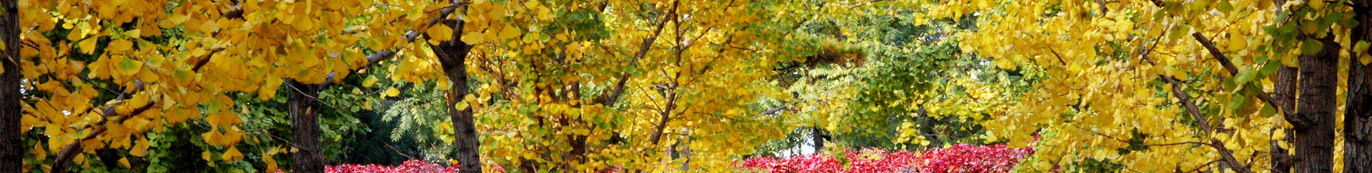 banner-03.jpg