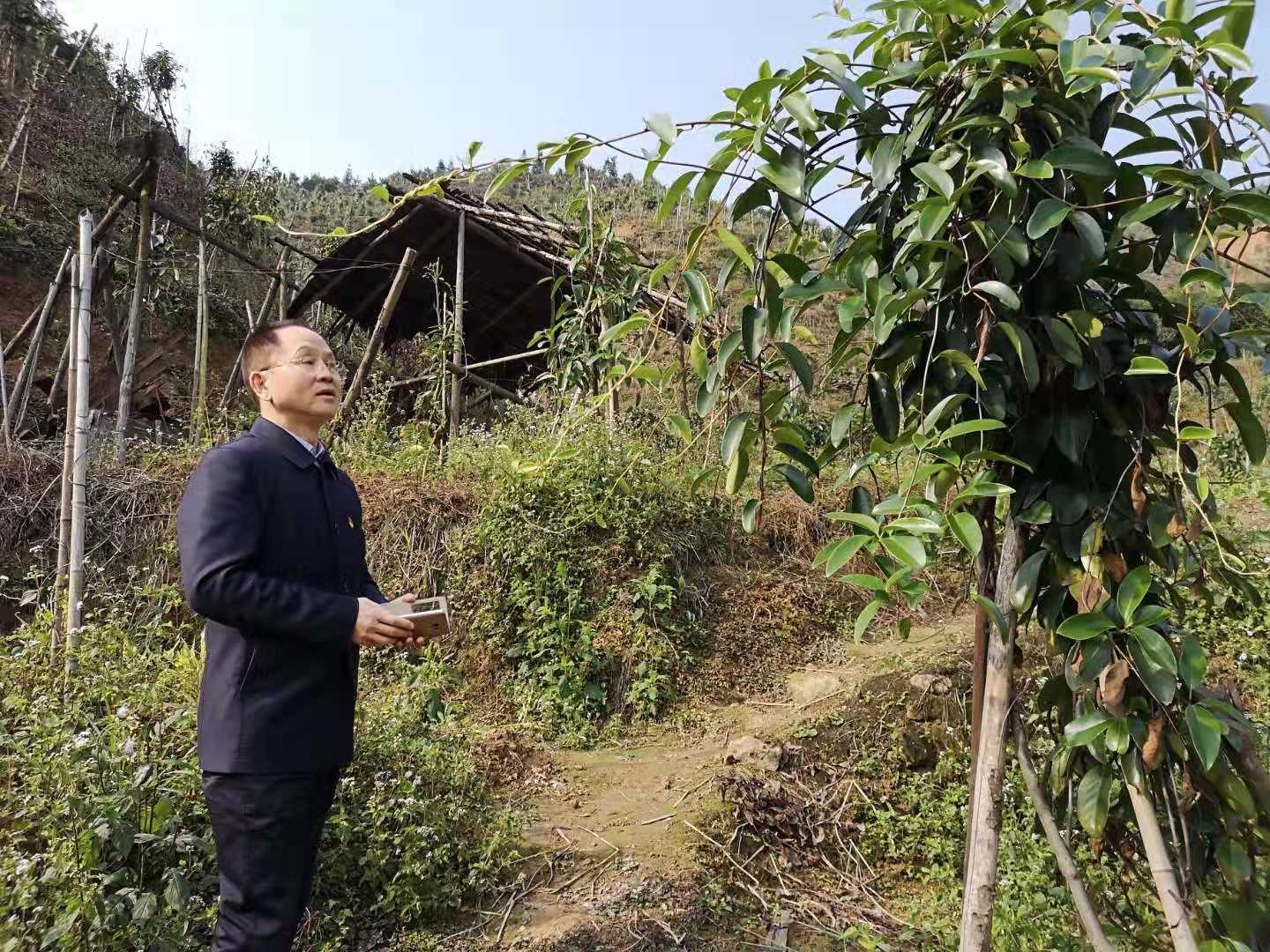 威廉希尔中文网站平台